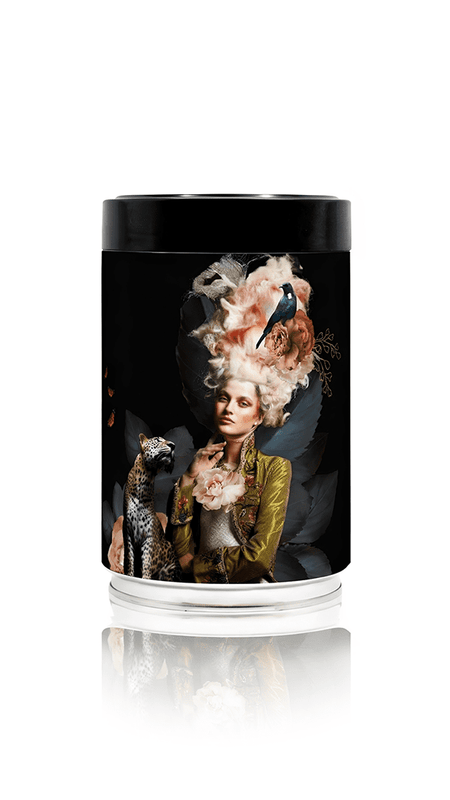 Catarina Diaz - Time Traveller - Collectable Art Coffee Tin | 250g Luxury Blend Coffee | Free UK Delivery