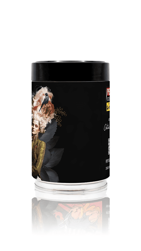 Catarina Diaz - Time Traveller - Collectable Art Coffee Tin | 250g Luxury Blend Coffee | Free UK Delivery